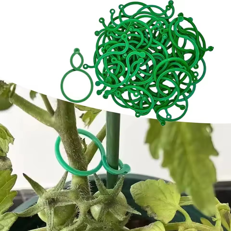 Vine Climbing Plastic - 50-400 Peças de Clipes de Suporte