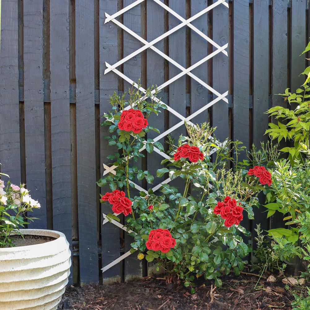 Vine Climbing Plastic - Treliça Expansível para Jardim 70 x