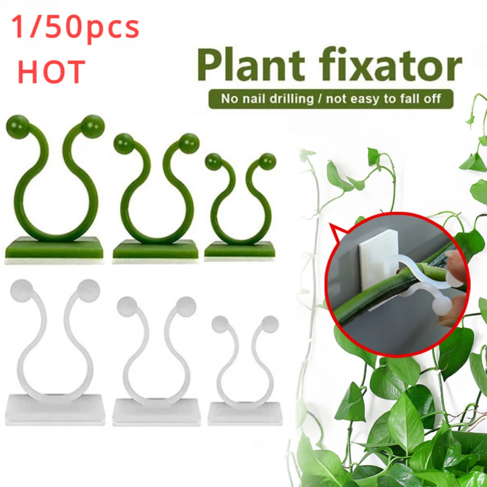 Vine Climbing Plastic - 1/30/50 pçs para acessórios de jardim