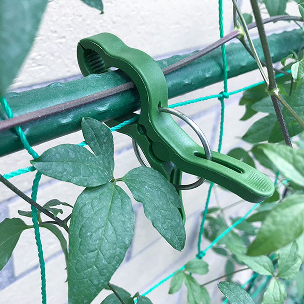 Vine Climbing Plastic - 60 Peças de Clipes de Plástico