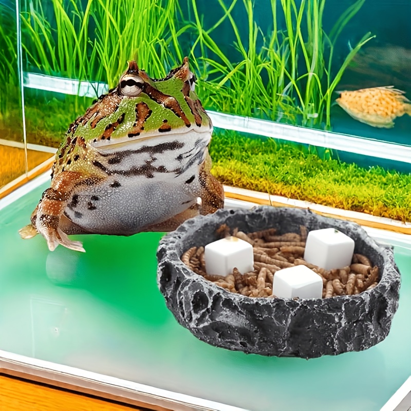Calcium Powder Reptile - 6 Peças de Bloco de Cálcio
