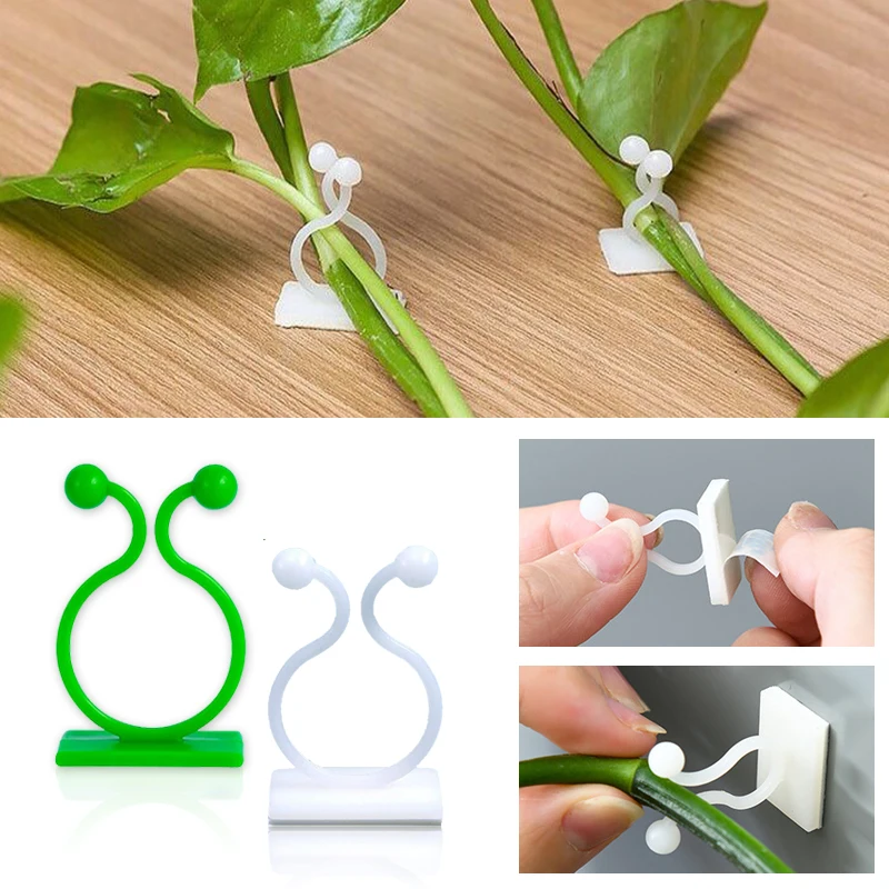 Vine Climbing Plastic - Planta de escalada parede auto-adesivo fivela