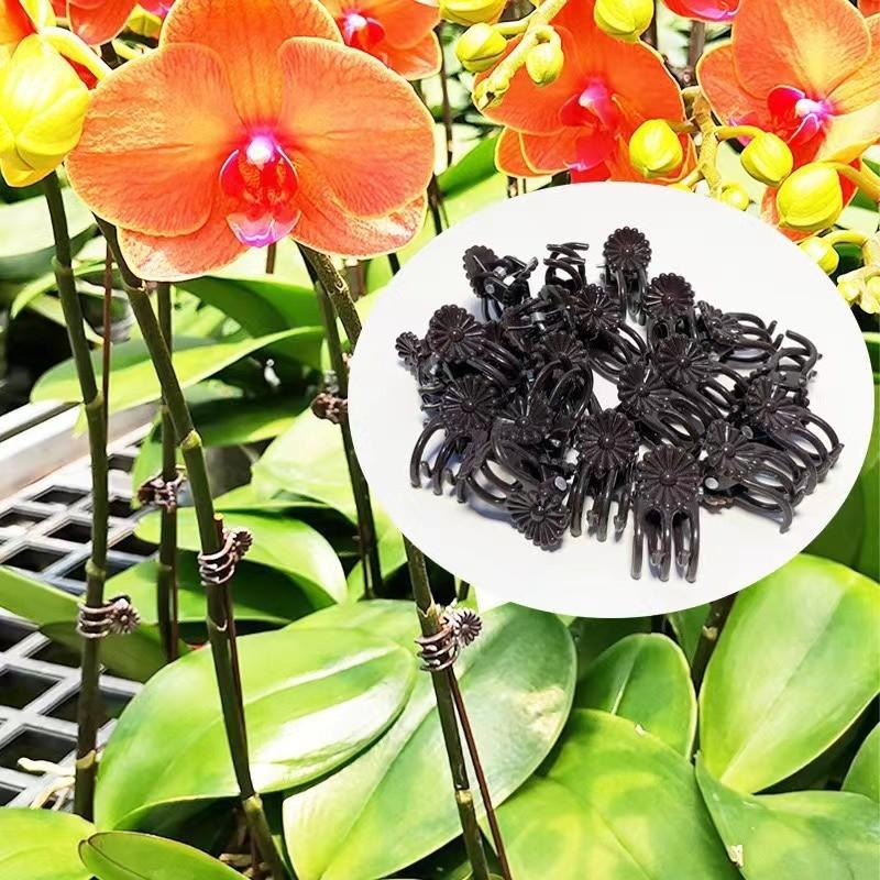 Clipes de Suporte para Plantas - Vine Climbing Plastic avaliação e preço