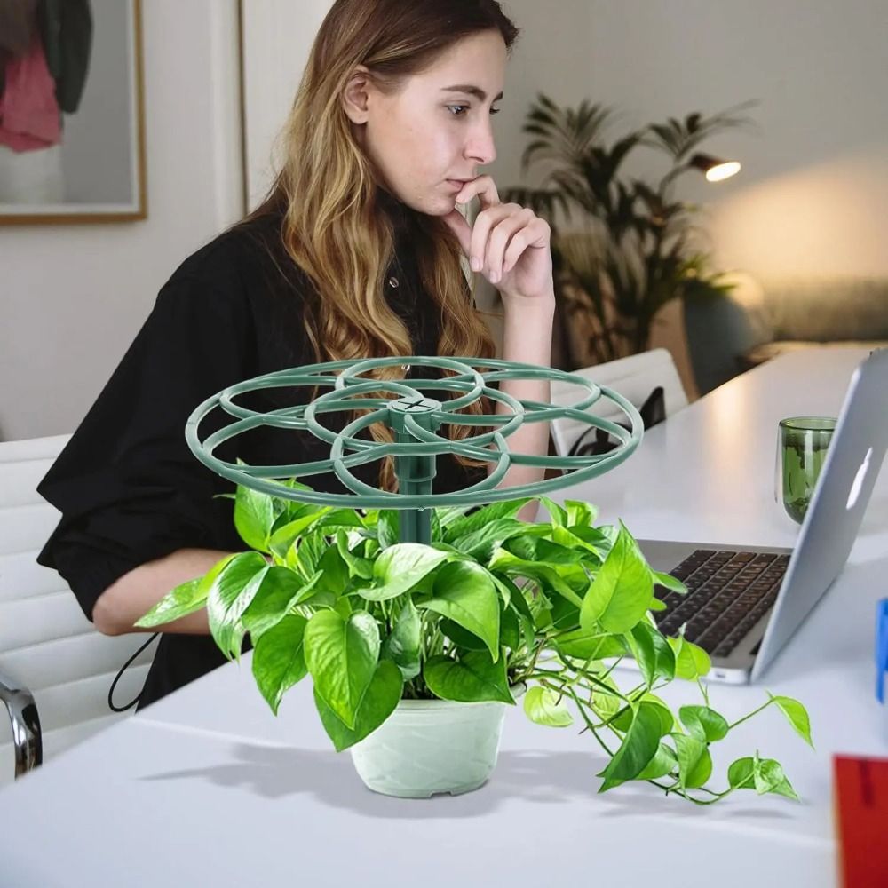 Suporte de Plástico Empilhável - Vine Climbing Plastic avaliação e preço