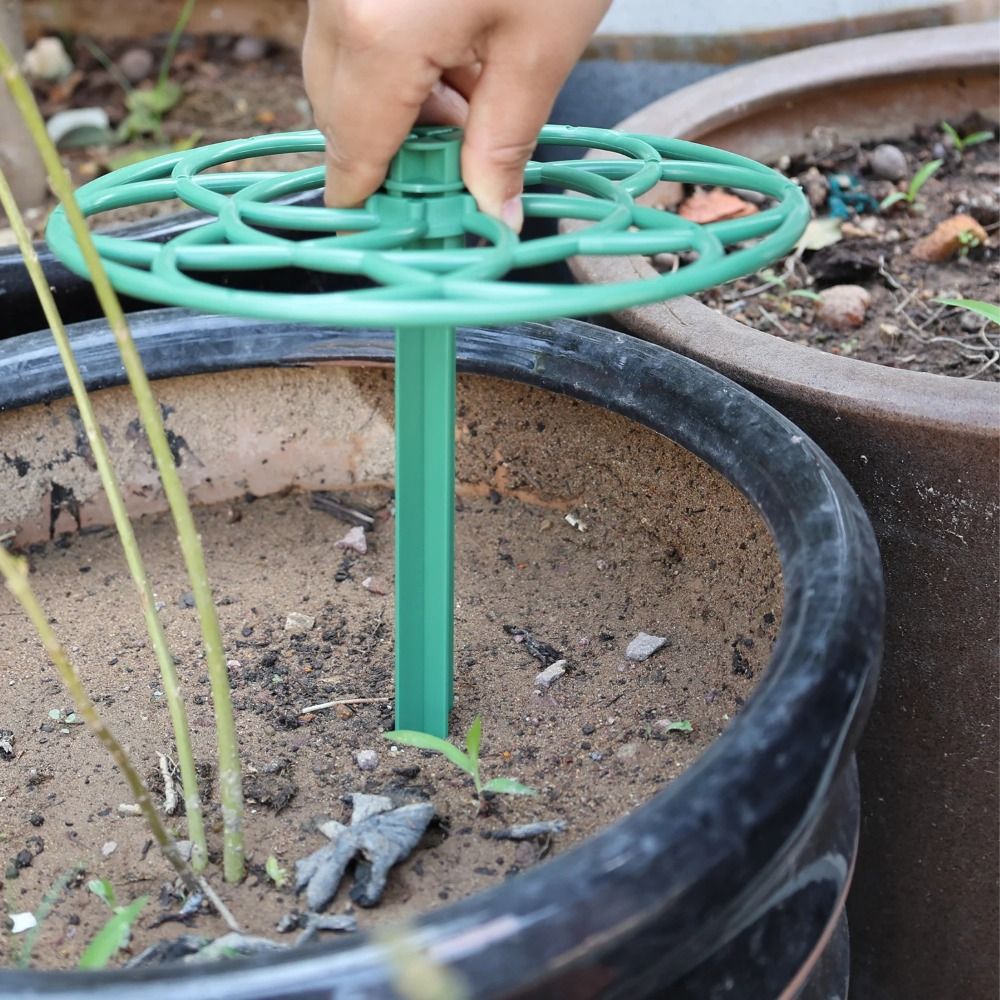 Suporte de Plástico Empilhável - Vine Climbing Plastic avaliação e preço