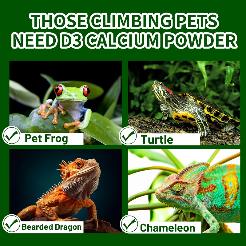 Pó de cálcio para animais de e - Calcium Powder Reptile avaliação e preço