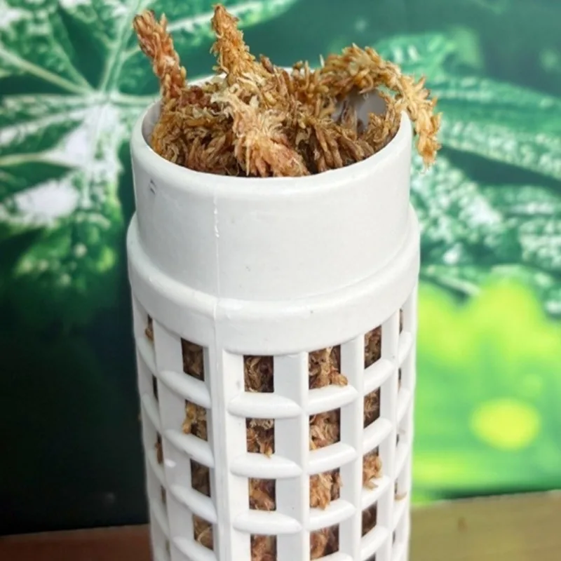 2026-9PCS Coluna de Musgo Plás - Vine Climbing Plastic avaliação e preço