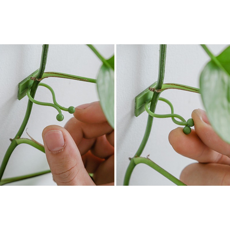 10 Peças Ganchos de Fixação pa - Vine Climbing Plastic avaliação e preço