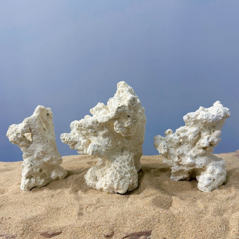 Decoração de Aquário: Base de  - Hide Cave Ceramic avaliação e preço