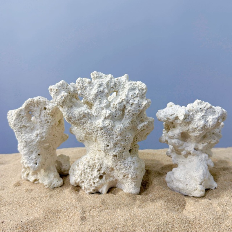 Decoração de Aquário: Base de  - Hide Cave Ceramic avaliação e preço
