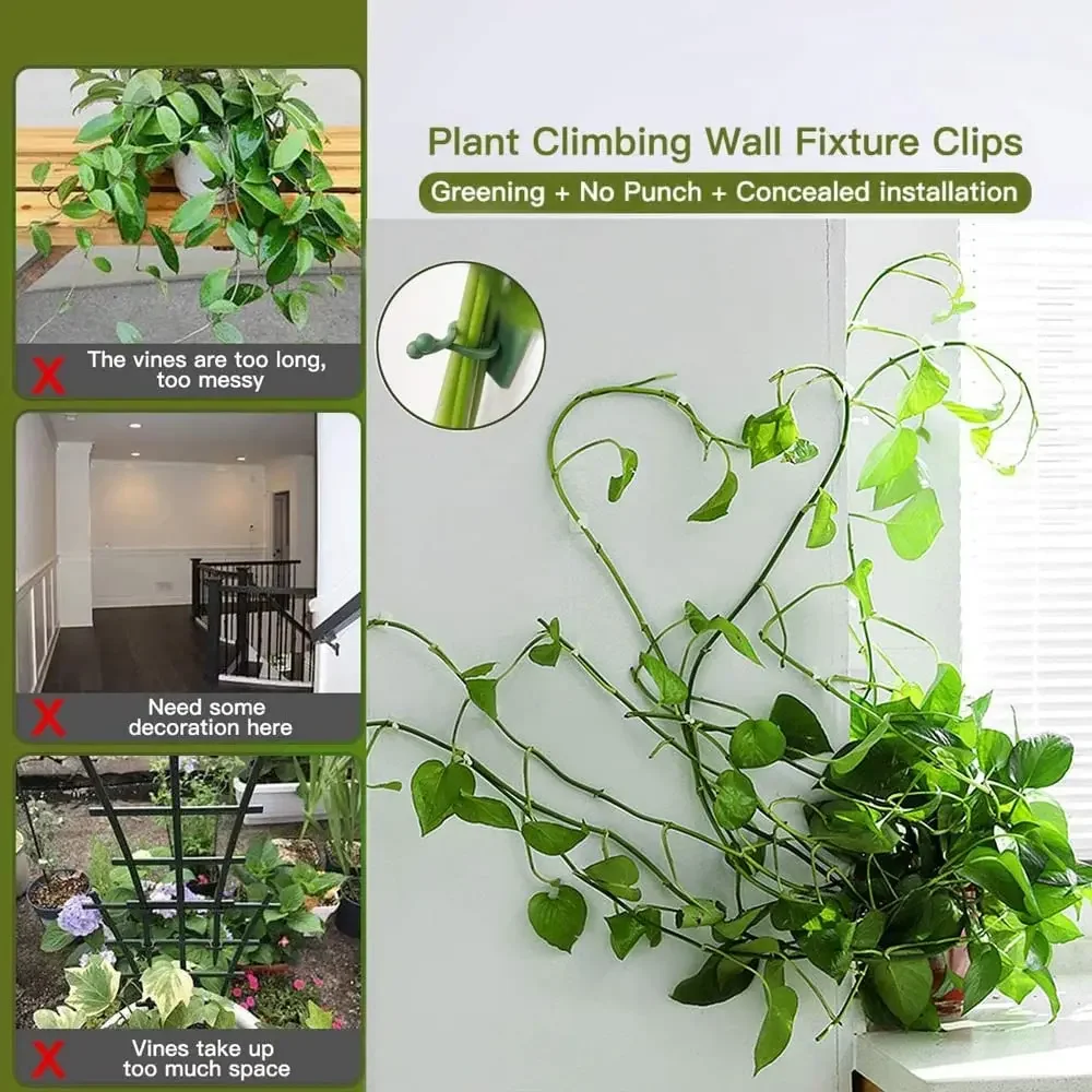 1/30/50 pçs para acessórios de - Vine Climbing Plastic avaliação e preço