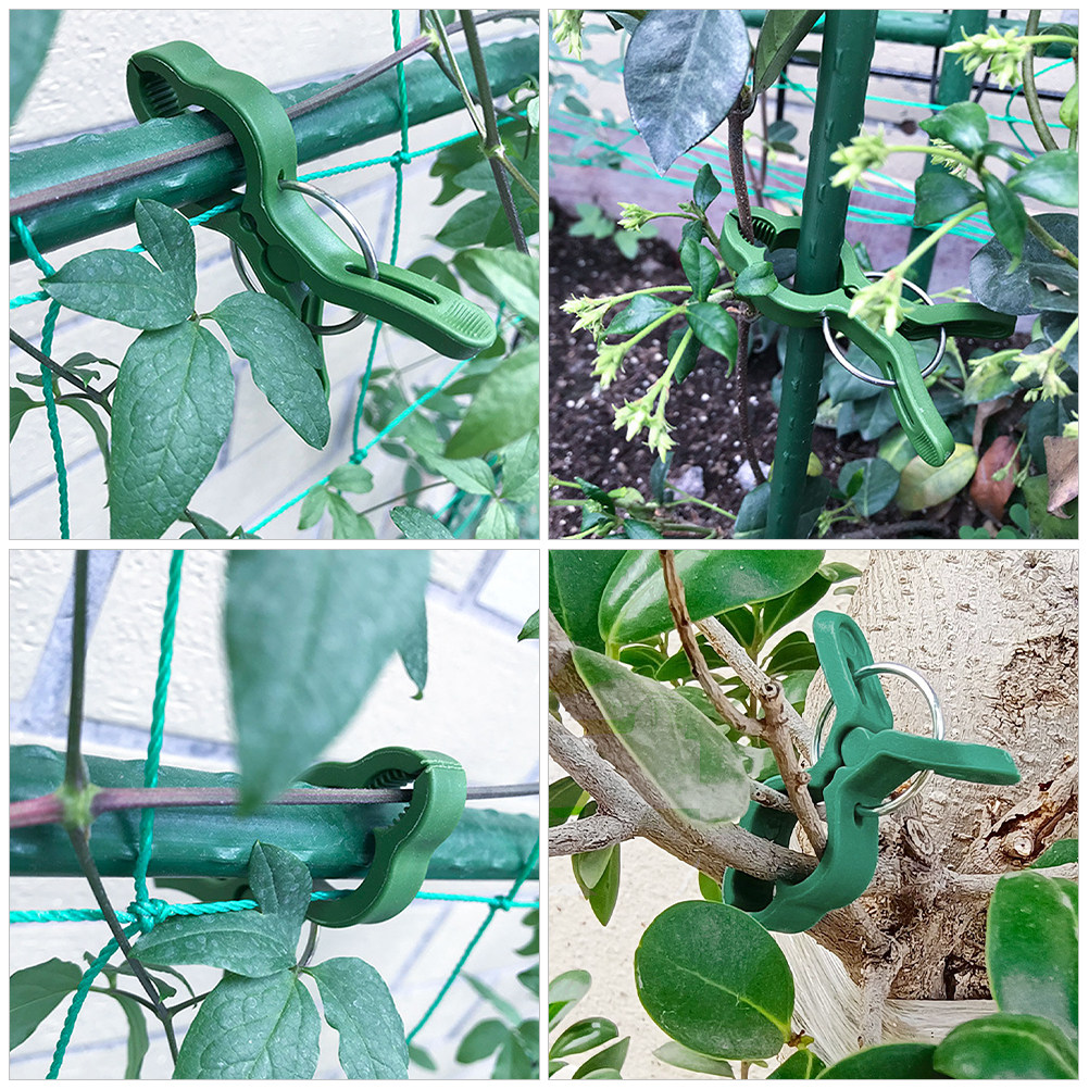 60 Peças de Clipes de Plástico - Vine Climbing Plastic avaliação e preço