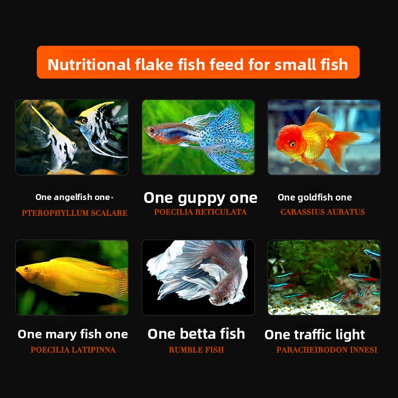 Comida para peixes em flocos d - Tetra Food Tropical Flakes avaliação e preço