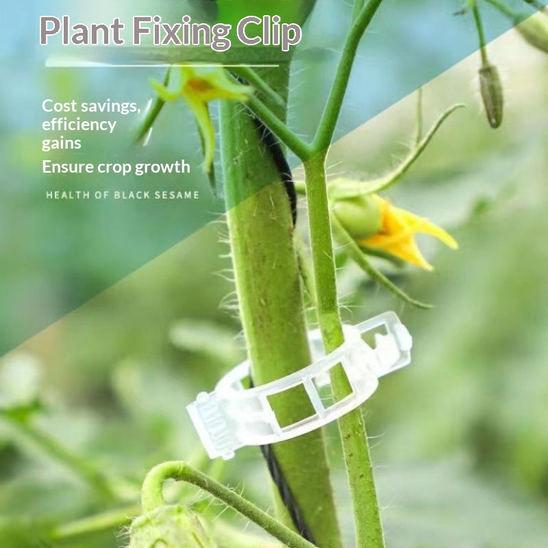 Clipes de Suporte para Plantas - Vine Climbing Plastic avaliação e preço