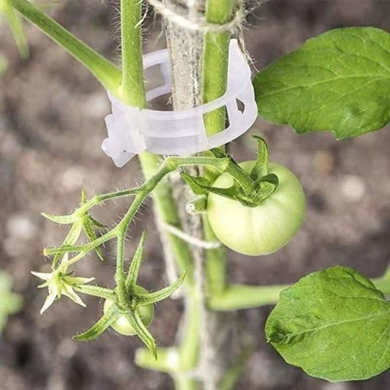Clipes de Suporte para Plantas - Vine Climbing Plastic avaliação e preço