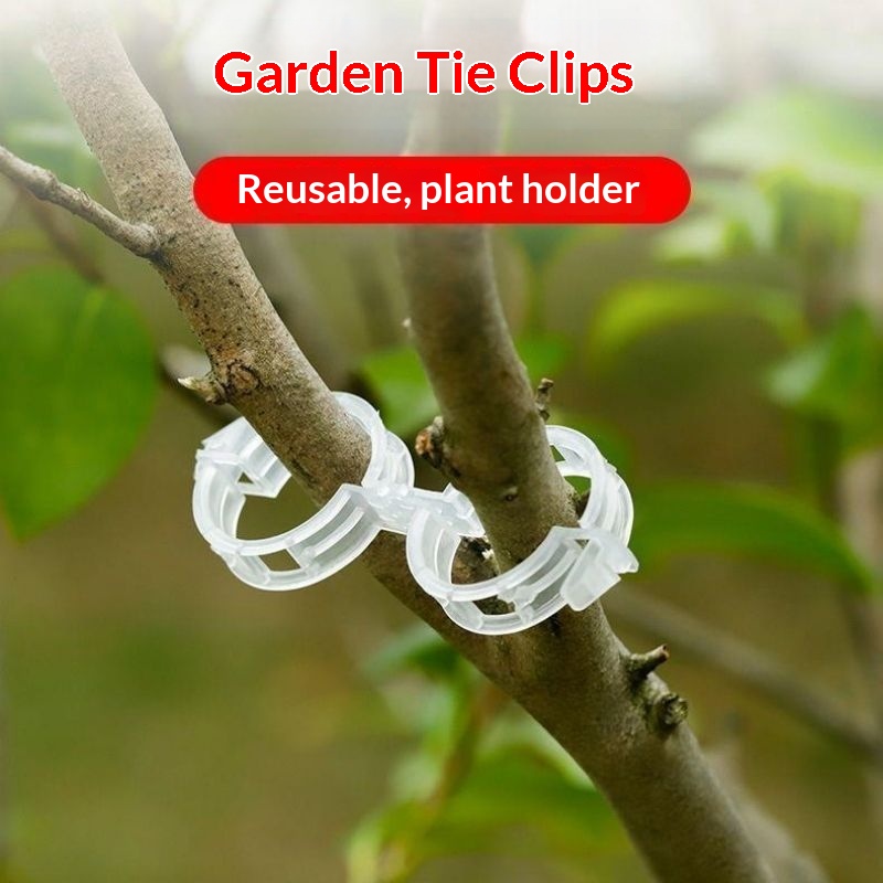 Clipes de Suporte para Plantas - Vine Climbing Plastic avaliação e preço