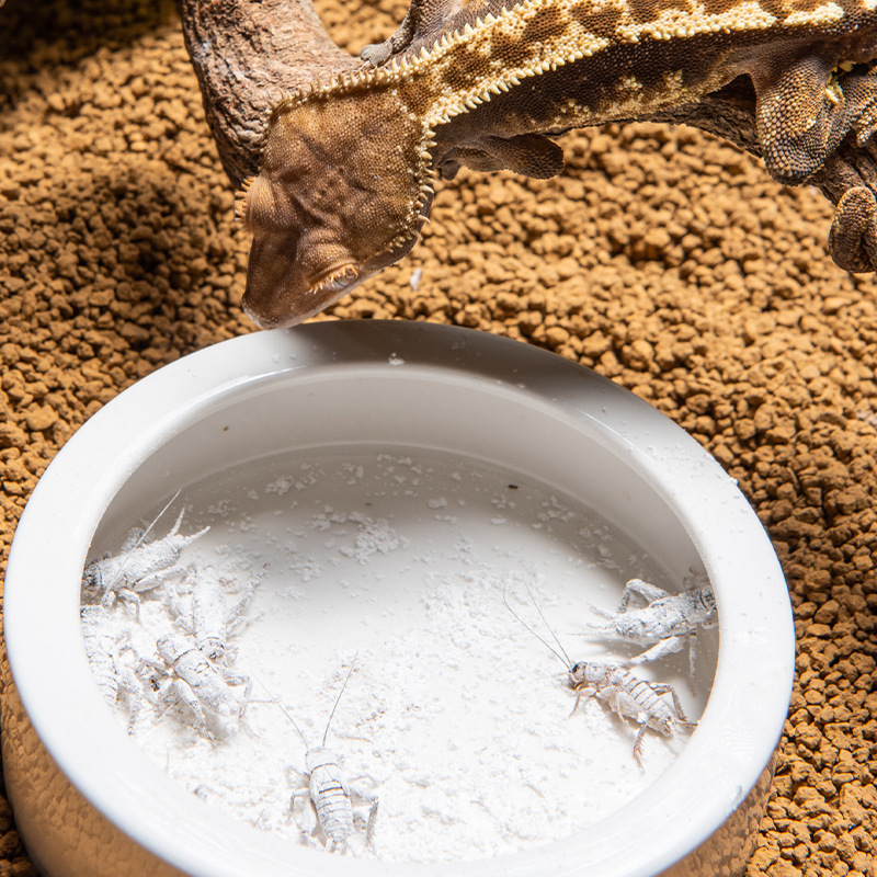 SuperRep Reptile Calcium Pro-V - Vitamin D3 Reptile avaliação e preço