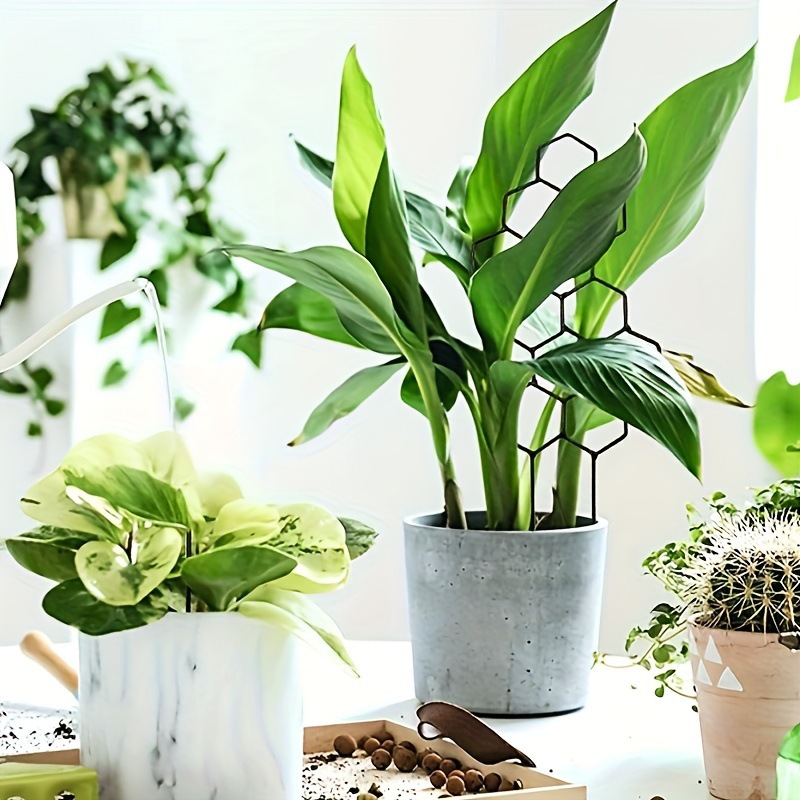 1PC Treliça para Plantas com D - Vine Climbing Plastic avaliação e preço