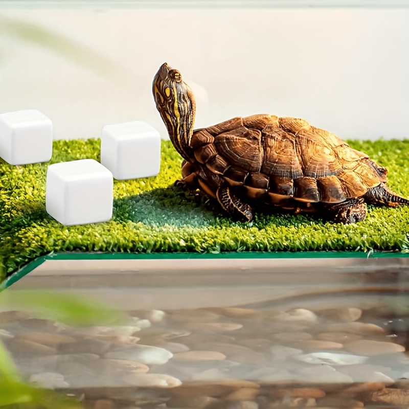 6 pçs tanque de peixes bloco d - Calcium Powder Reptile avaliação e preço